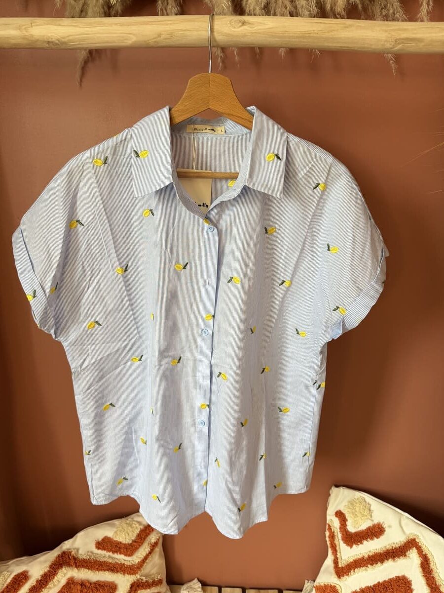 Chemise manches courtes bleu ciel à rayures et imprimé citrons brodés femme – Le Dress BY L.A